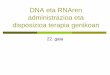 DNA eta RNAren administrazioa eta disposizioa terapia genikoan · 4 DNA edo RNA pusketak zelulen barnealdera garraiatzea ahalbidetzen duten teknika multzoa, hainbat proteinen espresioa