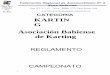 CATEGORIA KARTIN G Asociación Bahiense de Karting file4 ORGANIZACIÓN DEL CAMPEONATO Significado de las siglas usadas en el presente Reglamento: F.R.A.D.S.O: Federación Regional