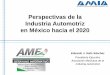 Perspectivas de la Industria Automotriz en México hacia el ... · Importancia del Sector Automotriz: 2 Principal generador de divisas en el país, con una balanza comercial superavitaria