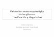Valoración anatomopatológica de los gliomas: clasificación .... Cristina Carrato... · • Hay necrosis con y sin empalizada de las células en la periferia ... Atipia nuclear