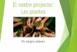 El nostre projecte: Les plantes - agora.xtec.cat · •Les plantes perceben les condicions del seu medi, com la llum, la temperatura o la humitat, i s'adapten responent a aquests