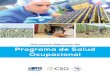Guía para la elaboración del Programa de Salud Ocupacional · 10 11 Guía para la elaboración del Programa de Salud Ocupacional 3. Diagnóstico de las Condiciones y Medio Ambiente