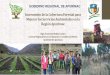 Incremento de la Cobertura Forestal para Mejorar los ...andes.center/.../09/F.Medina-Ecosystems-services-in-Apurimac_Spanish.pdf · Apurímac: Región de montañas hombres y bosques