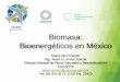 Biomasa: Bioenergéticos en México · Biomasa Abastecimiento energético 80% . energía fósil. 13% . energía nuclear. 6% . energía renovable. Este 93% no renovable conlleva importantes