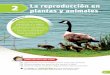 2 La reproducción en plantas y animales - sm-argentina.comsm-argentina.com/wp-content/uploads/2019/novedades/189623_Biciencia4... · La reproducción sexual en las plantas con semillas