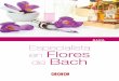 GUÍA Especialista en Flores de Bach - emagister.com · Fichas completas de las flores de bach MÓDULO 4 APLICACIÓN DE LAS FLORES DE BACH (2) Fichas completas de los remedios de