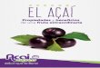 Acai Express Ebookacaiexpress.com/ebook/acai-benefits-eBook.pdf · 7 | P á g i n a En combinación con los ácidos grasos, el açaí berry es rico en proteínas vegetales, las cuales