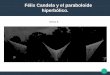Félix Candela y el paraboloide hiperbólico. · Antecedentes Entre las grandes influencias de ... Llegada a México Candela llegó exiliado a México en ... La madurez y conocimiento,