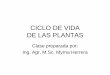 CICLO DE VIDA DE LAS PLANTAS - uv.fausac.gtuv.fausac.gt/.../document/CICLO_DE_VIDA_2016.pdf · CICLO DE VIDA DE LAS PLANTAS Clase preparada por: Ing. Agr. M.Sc. Myrna Herrera