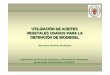UTILIZACIÓN DE ACEITES VEGETALES ... - biodiesel-uruguay.combiodiesel-uruguay.com/articulos/biodiesel-madrid.pdf · Indice de Saponificación Índice de Acidez Acidez Contenido en
