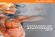 CATÁLOGO DE ANATOMÍA - elsevier.com · LA ANATOMÍA, GARANTÍA DE ÉXITO En los primeros años de la carrera de Medicina, en los que la Anatomía es la asignatura fundamental que