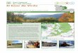 El bosc de Virós - Consorci Leader Pirineu Occidental · rant les quatre estacions de l’any i que li aporta una riquesa excepcional. Descobriu els seus valors naturals i culturals