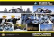 PROGRAMA DE CAPACITACIÓN SOBRE INSTALACIONES DE GAS ... · programa de capacitaciÓn sobre instalaciones de gas natural en residencias, comercios e industrias para acceder a la certificaciÓn