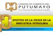 Departamento del Putumayo - ccputumayo.org.coccputumayo.org.co/site/wp-content/uploads/2016/02/Estudio-Crisis... · ecopetrol d. sur orito acae-san miguel (pto colon) 100.048 acae-san