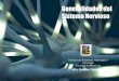 generalidades del sistema nervioso - anatomiahumana3d.comanatomiahumana3d.com/wp-content/uploads/2018/08/generalidades-del... · Generalidades del Sistema Nervioso ... SNC donde están
