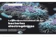 Imagen:  - uaslp.mx · MAYO 2017 211 UNIVERSITARIOS POTOSINOS 5 Se ha comprobado la efectividad de microorganismos en la generación de energía alternativa por diferentes téc-