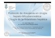 Protocolo de Anestesia en cirugía hepato-bilio-pancreática ...chguv.san.gva.es/docro/hgu/document_library/servicios_de_salud/... · • AINEs + PCA morfina a 0.5 mg/ml; ritmo 2