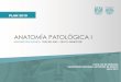 ANATOMÍA PATOLÓGICA I - seciss.facmed.unam.mxseciss.facmed.unam.mx/wp-content/uploads/2018/10/6-Anatomia-Patologia-I.pdf · anatomÍa patolÓgica i facultad de medicina universidad