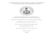 UNIVERSIDAD NACIONAL DE INGENIERIA FACULTAD DE …cybertesis.uni.edu.pe/bitstream/uni/8275/4/vicuna_rr.pdf · planilla de metrados, análisis de precios unitarios, análisis de gastos
