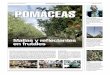Mallas y reflectantes en frutales FOTOGRAFÍA: ÁLVARO ...pomaceas.utalca.cl/wp-content/uploads/2018/06/Mallas_y_Reflectantes_en... · Se discuten los beneficios del uso de malla