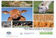Máster Internacional en Nutrición Animal · MÁSTER INTERNACIONAL EN NUTRICIÓN ANIMAL 3 10 Razones por las que estudiar este Máster 1. La nutrición animal es una de las bases