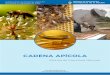 CADENA APÍCOLA - alimentosargentinos.gob.ar · COMERCIO DE LA MIEL Durante el mes de enero del corriente año, se exportaron 3.408 ton de miel a granel, por un valor FOB de 9.643.297