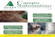 Campo Salmantino - asajacyl.com · incluir en la rotación el cultivo de leguminosas, proteaginosas y/o crucíferas en una superﬁ cie equivalente a la del contrato a lo largo del