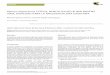 Ophrys algarvensis TYTECA, BENITO AYUSO & WALRAVENS 2003 ...sociedadgaditanahistorianatural.com/wp-content/uploads/2017/02/04... · Grazalema por facilitar en todo momento el estudio