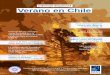 Informe Especial Verano en Chile - blog.meteochile.gob.clblog.meteochile.gob.cl/wp-content/uploads/2017/12/Informe_Verano.pdf · Informe Especial La temporada de incendios forestales