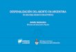 DESPENALIZACIÓN DEL ABORTO EN ARGENTINA debate aborto... · •100.000 cánulas para AMEU, •además de tests de embarazo y hormonas para población trans. Ministerio de Salud de