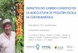IMPACTOS DEL CAMBIO CLIMATICO EN LA AGRICULTURA DE …³n. Proyecto CASCADA.pdf · Diversificación de cultivos y fincas para asegurar la provisión de alimentos y reducir los riesgos
