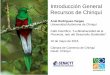 Introducción General Recursos de Chiriquí - senacyt.gob.pa · Región occidental de Panamá Elementos comparativos ⚫ Mar Caribe ⚫ Oceáno Pacífico ⚫ Laguna de Chiriquí ⚫