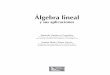 Álgebra lineal y sus aplicaciones - editorialpatria.com.mx · VI Álgebra lineal y externa, como se hizo con las matrices. Sin embargo, tienen diferentes usos, tanto teóricos como