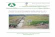 PRÁCTICAS DE CONSERVACIÓN DE SUELOS Y AGUAS … · Tradicionales de Conservación de Suelos y Aguas en Chuquisaca) publicado por el Proyecto en el año 2002, aún se hace referencia
