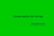 Conservación de Forraje - Praderas y Pasturaspraderasypasturas.com/.../2008/43.-Conservacion_de_Forraje_y_Aditivos.pdf · • Se puede realizar independiente de las condiciones climáticas