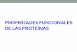 PROPIEDADES FUNCIONALES DE LAS PROTEÍNASdepa.fquim.unam.mx/amyd/archivero/4-PROTEINAS-4_31900.pdf · Propiedades físicas y químicas •que derivan del comportamiento de proteínas
