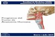 Programa del Curso de Anatomía Humana - medicina.uanl.mx · consiste en la preparación y presentación de disecciones y trabajos. Teoría El curso consta de 90 horas de teoría