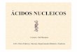 ÁCIDOS NUCLEICOS - centros.edu.xunta.escentros.edu.xunta.es/iesoteropedrayo.ourense/dptos/bio/Programa... · Os nucleótidos están formados pola unión de: a) Unhapentosa, que pode