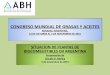 CONGRESO MUNDIAL DE GRASAS Y ACEITES - asaga.org.ar · de Biocombustibles en Argentina (III) - Diversificar la oferta de combustibles, promoviendo la desconcentración de la industria