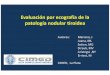 Evaluación por ecografía de la patología nodular tiroidea · Evaluación por ecografía de la patología nodular tiroidea Autores: Mariano, J Juana, ML Setien, MG Straub, MV Aristegui