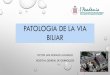 PATOLOGIA DE LA VIA BILIAR - academia.cat · • Neoplasia vesicular: 5º frecuencia del tracto digestivo y más frecuente de la vía biliar • Más frecuente en mujeres y en edades