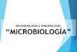 MICOBIOLOGÍA E INMUNOLOGÍA “MICROBIOLOGÍA” · Pregunta PSU, Demre admisión 2014 En el gráfico se muestran las curvas de crecimiento de una cepa bacteriana que, luego de 12