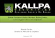 Bolsa Peruana: Bolsa Minera, Bolsa Junior - kallpasab.com · Junior I: Empresas mineras. constituidas en el Perú. en fase de exploración o explotación una vida estimada menor a