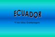 Y las Islas Galápagos - ecotec.edu.ec · 7 Flora y Fauna •Flora – Región de Oriente: Pluviisilva Ecuatorial > árboles altos de hoja grande •Caucho (Hevea Brasiliensis), lianas,