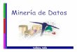 Minería de Datos - exa.unne.edu.arVallejos).pdf · ¾La Minería de Datos es una herramienta eficaz para dar respuestas a preguntas complejas de Inteligencia de Negocios. ¾Las herramientas