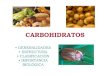 CARBOHIDRATOS - medicinaunivalle14.weebly.com · Funciones de los Carbohidratos 1. Constituyen la principal fuente de energía 2. Resistencia mecánica en insectos, plantas, crustáceos