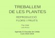 La nutrició de les plantes - urbanisme.paeria.cat · DE LES PLANTES REPRODUCCIÓ FLORS I FRUITS Pep Vidal Laia Roca Agenda 21 Escolar de Lleida Curs 2015-2016. La reproducció asexual