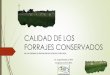 CALIDAD DE LOS FORRAJES CONSERVADOS - Proleche · calidad de los forrajes conservados la calidad de los forrajes conservados es necesaria siempre pero particularmente en los sistemas