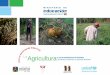 LaAgricultura - proeibandes.org · El presente trabajo fue realizado en el marco del acuerdo firmado entre UNICEF y la Universidad Mayor de San Simón (UMSS), por medio del PROEIB