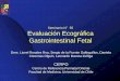 Seminario N Evaluación Ecográfica Gastrointestinal Fetalcerpo.cl/_items/File_002_00657_0029.pdf · Quiste del Uraco • Persistencia del Uraco, divertículo del Uraco y quiste del